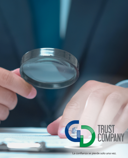 Profesional dedicado realizando una exhaustiva verificación de antecedentes, simbolizando el compromiso de GD Trust Company con la contratación segura y confiable.